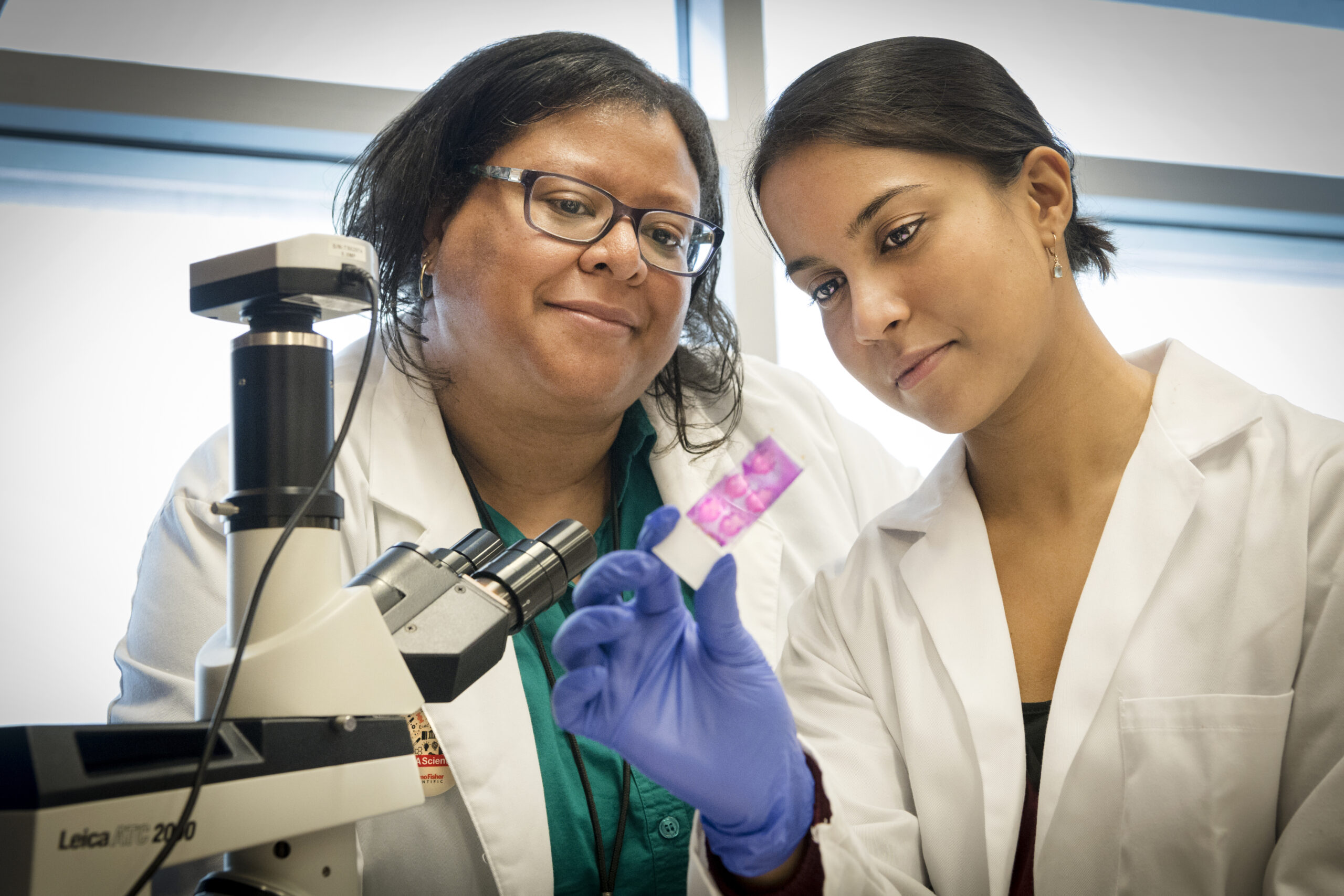 WVU to receive NIH grant to see how brain heals after stroke, impact of aging